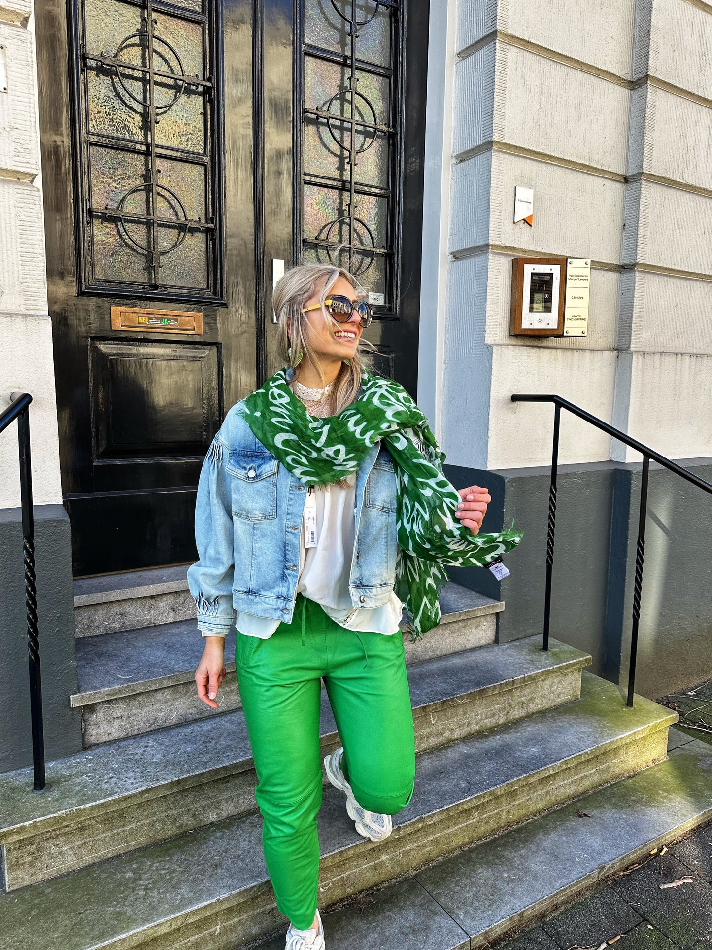 Foulard Elisabetta Franchi vert & blanc