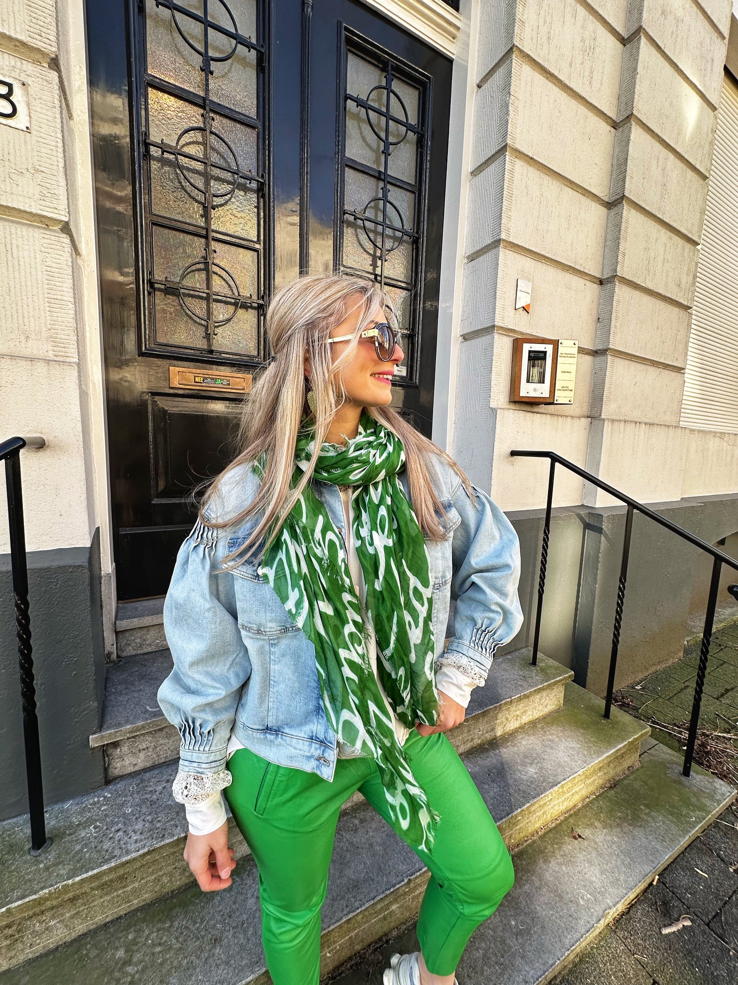 Foulard Elisabetta Franchi vert & blanc