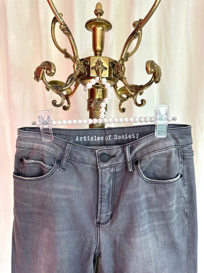 Jeans Articles of society grijs maat 27